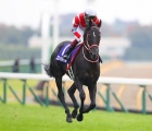 contrail-won-the-japan-cup-on-sunday-28-11-2021