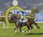 arizona-dreaming-vince-a-merano-16-10-2026