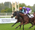 beholder-con-salvatore-sulas-in-sella-vince-a-san-siro-07-10-2026