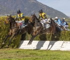 merano-cavalli-in-azione-nel-premio-lestran-la-giubba-della-scuderia-aichner-in-primo-piano-16-10-2026
