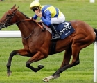 goliath-vince-a-colonia-ger