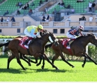 noble-title-re-degli-sprinter-italiani-capanelle-roma