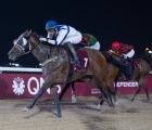 september-leaves-al-ghariya-cup-1