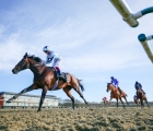 alenquer-winner-of-winter-derby-lingfield-uk-26-02-2022