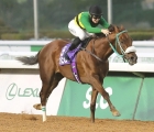 Caitlin Jones à l’honneur lors de la première journée de la Saudi Cup 26 02 2022