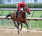 champion-letruska-returns-an-easy-winner-in-the-royal-delta-gulfstream-park-usa-26-02-2022