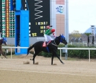 complete-value-was-champion-juvenile-last-year-_pic-kra__-05-03-2022