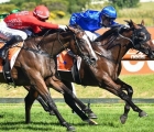 daumier-proves-a-diamond-to-bring-up-first-g1-of-2022-caufield-aus-28-02-2022