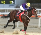 heat-yegam-races-for-the-first-time-in-2022-pic-kra-26-02-2022