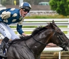 hitotsu-australian-guineas-winner-was-the-headline-act-for-japanese-shuttler-maurice-05-03-2022-aus