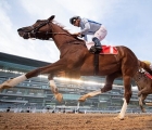 hypothetical-wins-the-g1-al-maktoum-challenge-round-3-meydan-05-03-2022-uae