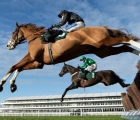 lieutenant-rocco-useful-chaser-is-on-the-sidelines-uk-27-02-2022