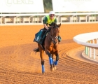 saudi-cup-da-20-milioni-mishriff-favorito-in-training-26-02-2022