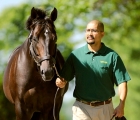 stallion-twirling-candy
