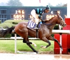 mystik-dan-usa-oaklawn-winner-03-02-2024