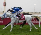 ginkeau-al-arish-cup-1