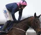 kopek-des-bordes-slashed-for-the-supreme-after-dominant-success_-ire-leopardstown