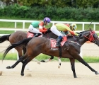 14-eoma-eoma-korea-sprint-3