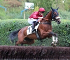 27 MISTERGIF (lot 1), Prix Finot (Poulains), Listed, Auteuil © Scoopdyga, Arqana