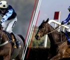29-cheltenham-day-2-uk-energumene-vs-edwadrstone_-15-03-2023