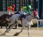 ongnam-shinmun-pic-kra-19-03-2023