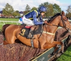 fiddlerontheroof-top-class-novice-form-and-a-smooth-winner-at-carlisle-first-time-out-uk-03-11-2021