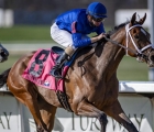 g3-third-for-adventuring-in-valley-view-stakes-keeneland-usa-29-10-2021