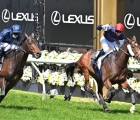 he-should-just-about-win-which-melbourne-cup-trainer-is-typically-upbeat-flemington-aus-01-11-2021