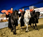 spettacolo-equestre-fieracavalli-2021