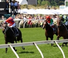 verry-elleegant-stretches-clear-of-her-rivals-to-win-the-melbourne-cup