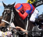 verry-elleegant-vince-la-melbourne-cup-31-10-2021-flemington-aus