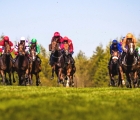 goodwood-racecourse-12-10-2023_0