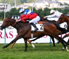 lady-frankel-ar-arqana-aste