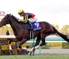 liberty-island-winner-in-jpn