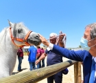 Il Presidente della Regione Siciliana Nello Musumeci, alla Fiera Mediterranea del Cavallo 