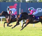 Brigante Sabino (Antonio Fresu) precede Atzeco sul Traguardo del Premio D’Italia LR, MIlano 30 06 2021