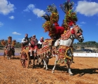 02/07/21 - Fiera mediterranea del cavallo nella tenuta di Ambelia (CT) - il tipico carretto siciliano