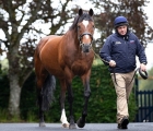 Galileo-passed-away-on-saturday 10th-2021 Coolmore
