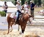 Fiera mediterranea del cavallo -  Barrel