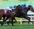 starlight-rails-wins-the-singapore-3yo-classic-sing-gr-2-vinery-stud-20-07-2021