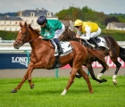 al-jafara-lotto-n21-arqana-arc-sale-5th-oct-2024