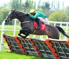 Farout Irlanda, Fairyhouse