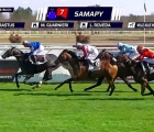 samapy-vince-in-francia-per-i-colori-dei-roveda-trainer-guarnieri