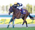 ask-victor-more-kikuka-sho-japanese-st-leger-gr-1-arqana-11-11-2022