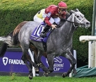 caravel-tops-males-in-breeders-cup-turf-sprint-shocker-usa-05-11-2022