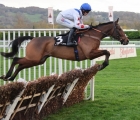 hermes-allen-dominant-display-under-harry-cobden-uk-cheltenham-11-11-2022