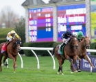 tuesday-2nd-right-is-another-breeders-cup-winner-for-ballydoyle-usa-05-11-2022