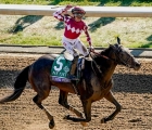 wonder-wheel-wins-juvenile-fillies-at-breeders-cup-day-1-04-11-2022-usa