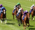 Good third for Mysterious Night in G2 July Stakes, NMarket UK