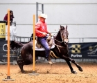 FieraCavalli Verona-fr-skip-on